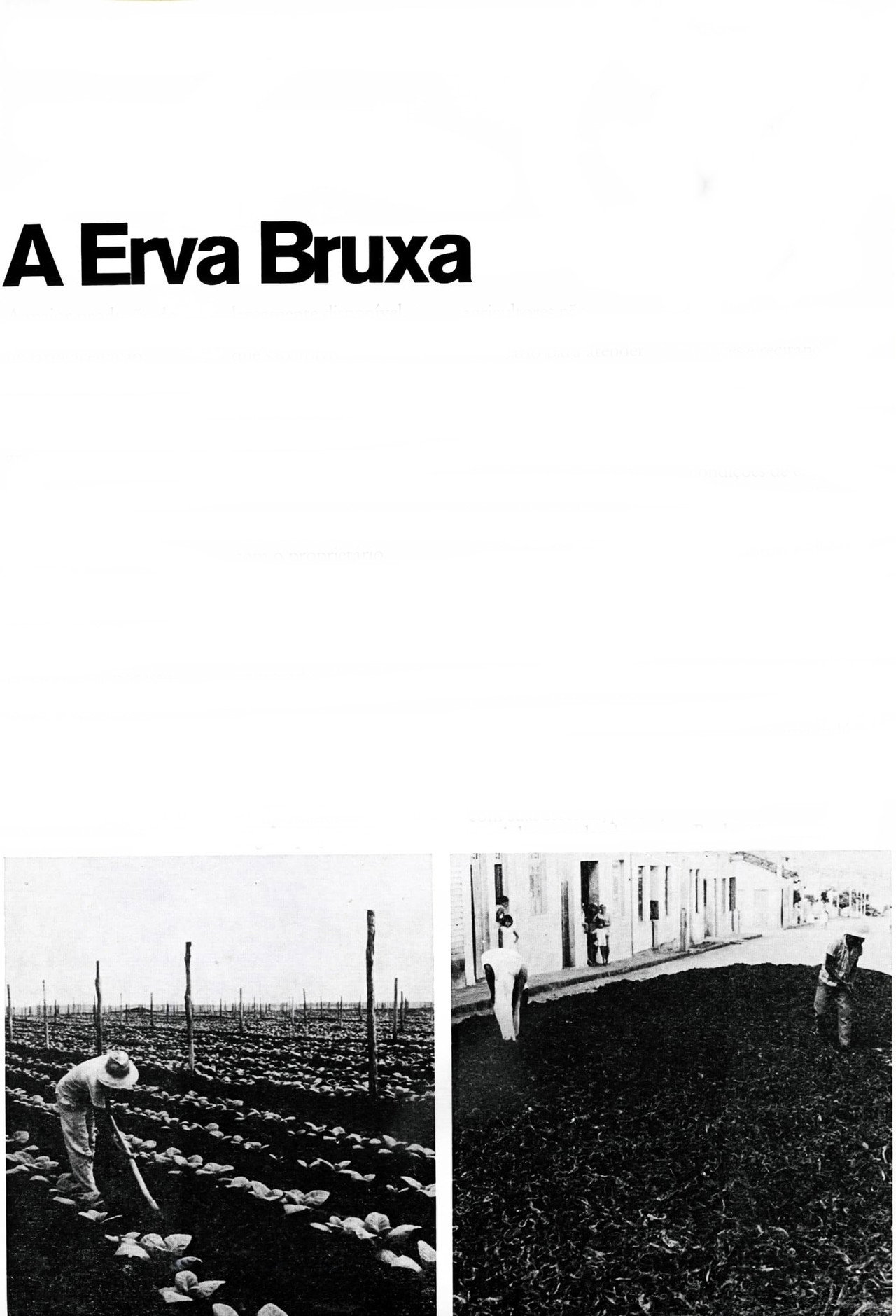 A Erva Bruxa filmaffisch