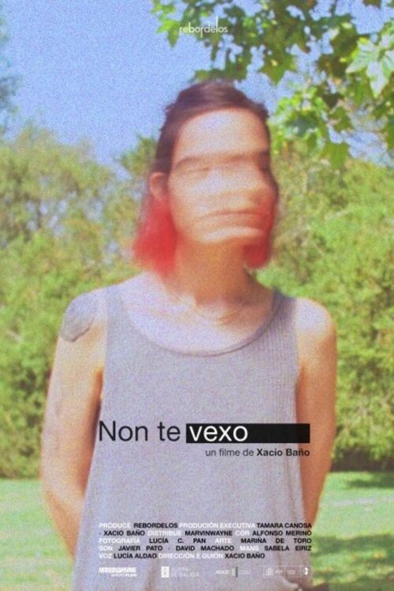 Non Te Vexo filmaffisch