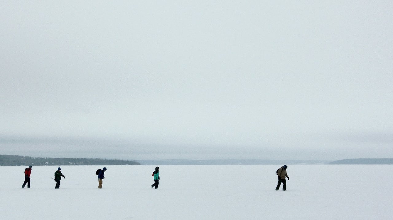 Skating to New York background