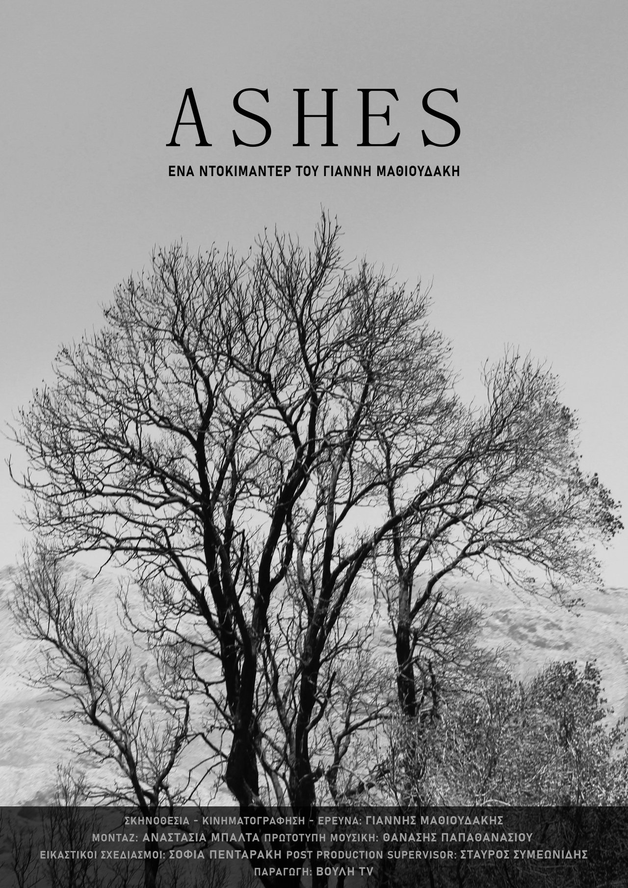 Ashes poster