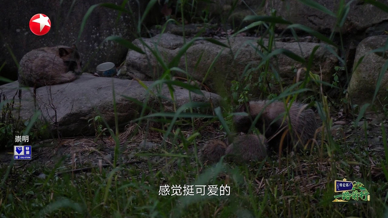 Episode 1