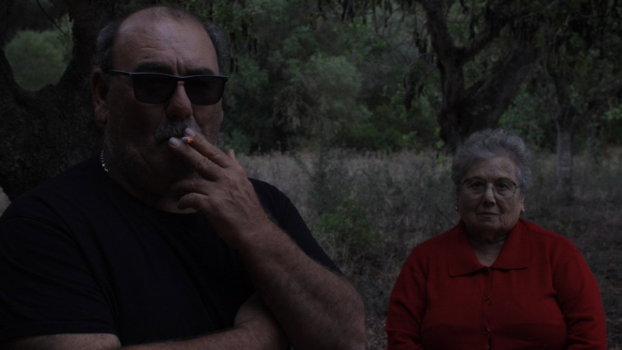 Qui Pogués Plorar Amb Els Teus Ulls