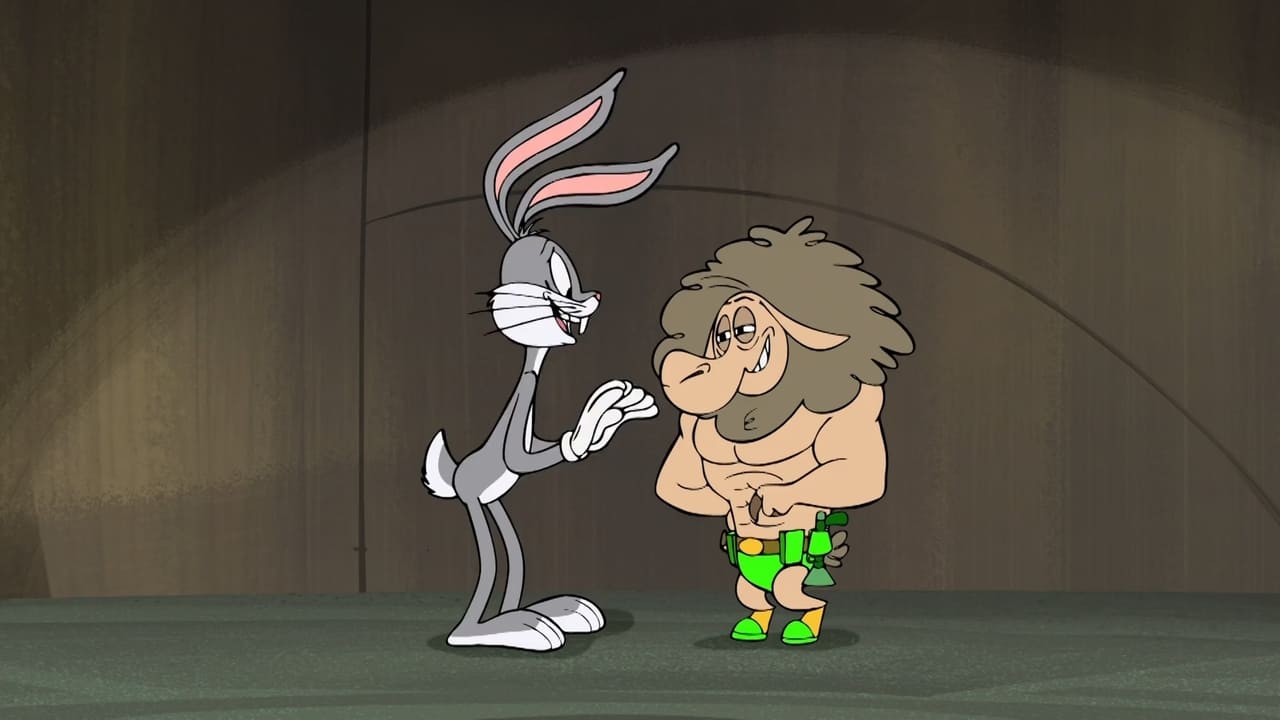 New Looney Tunes - Season 1 Episode 86 : Now You See Me, Now You Still See Me