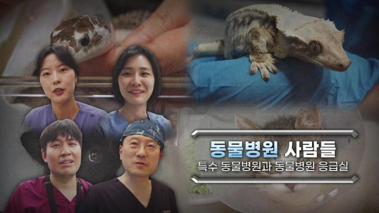 Extreme Job - Season 1 Episode 1191 : Episode 1191