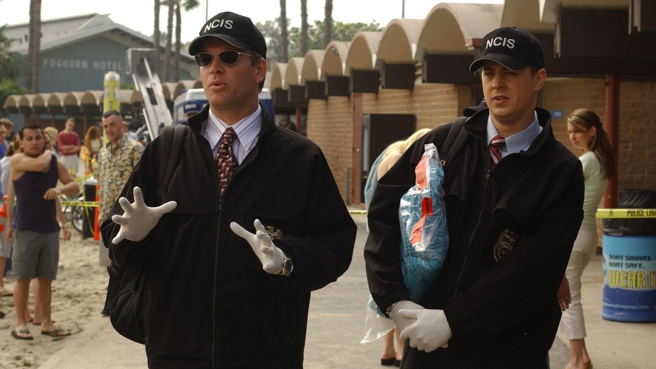 NCIS - Season 2 Episode 18 : Bikini Wax