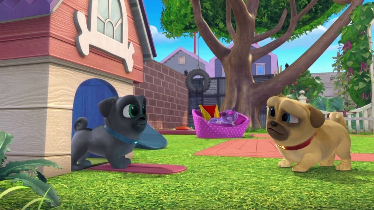 Puppy Dog Pals - Season 1 Episode 6 : Pot O' Pugs