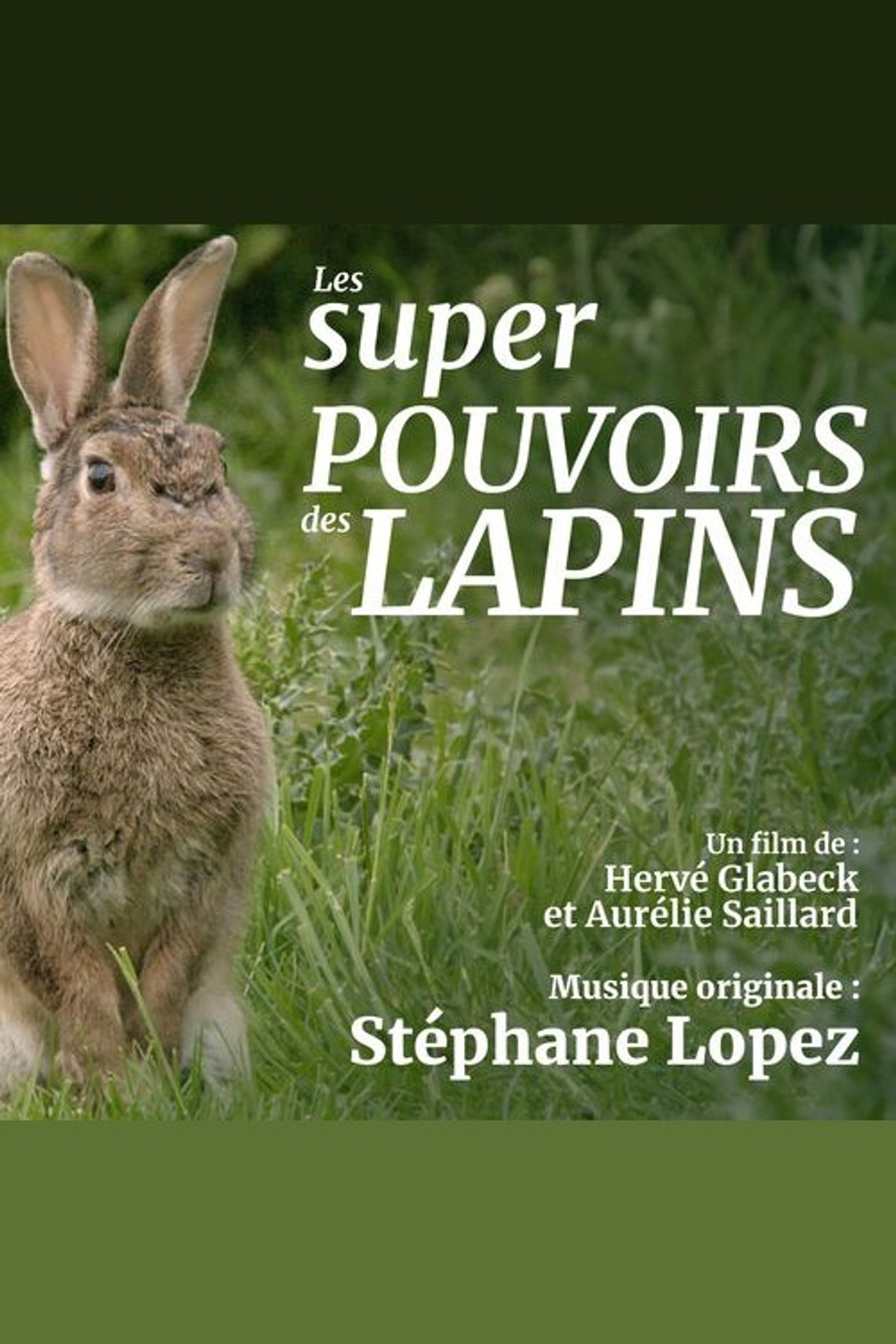 Les super pouvoirs du lapin Backdrop