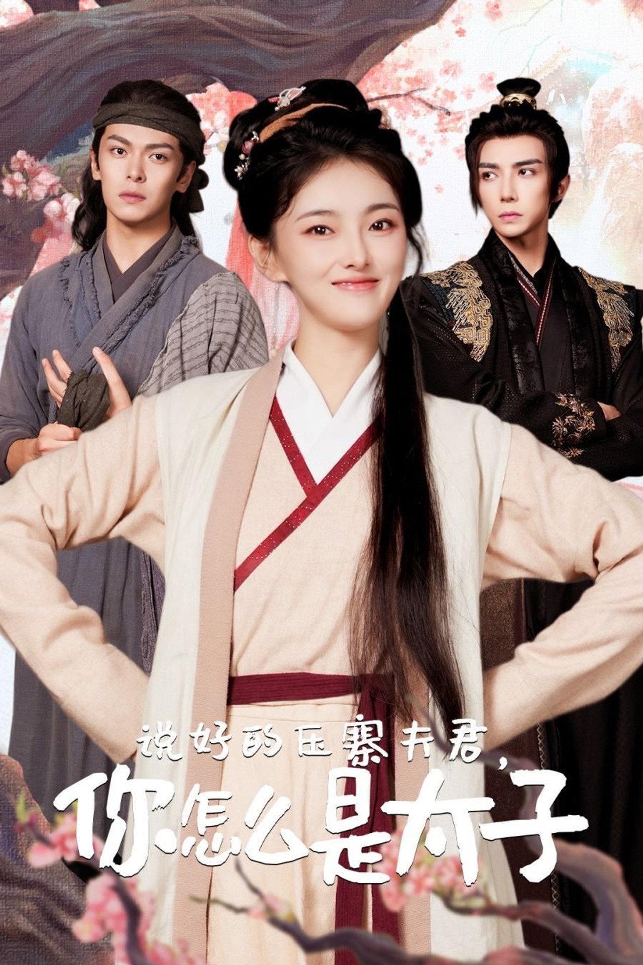 说好的压寨夫君，你怎么是太子