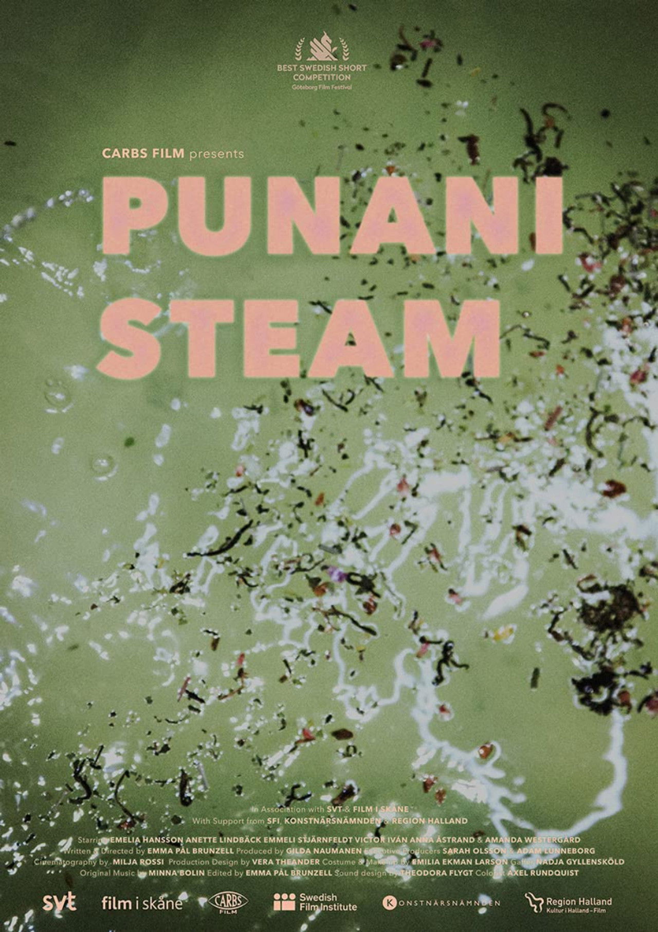 Punani Steam Backdrop