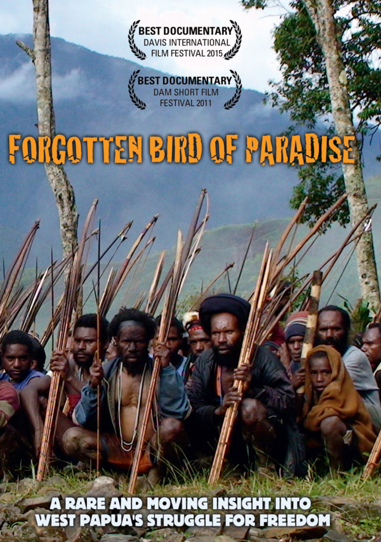 Forgotten Bird of Paradise Backdrop