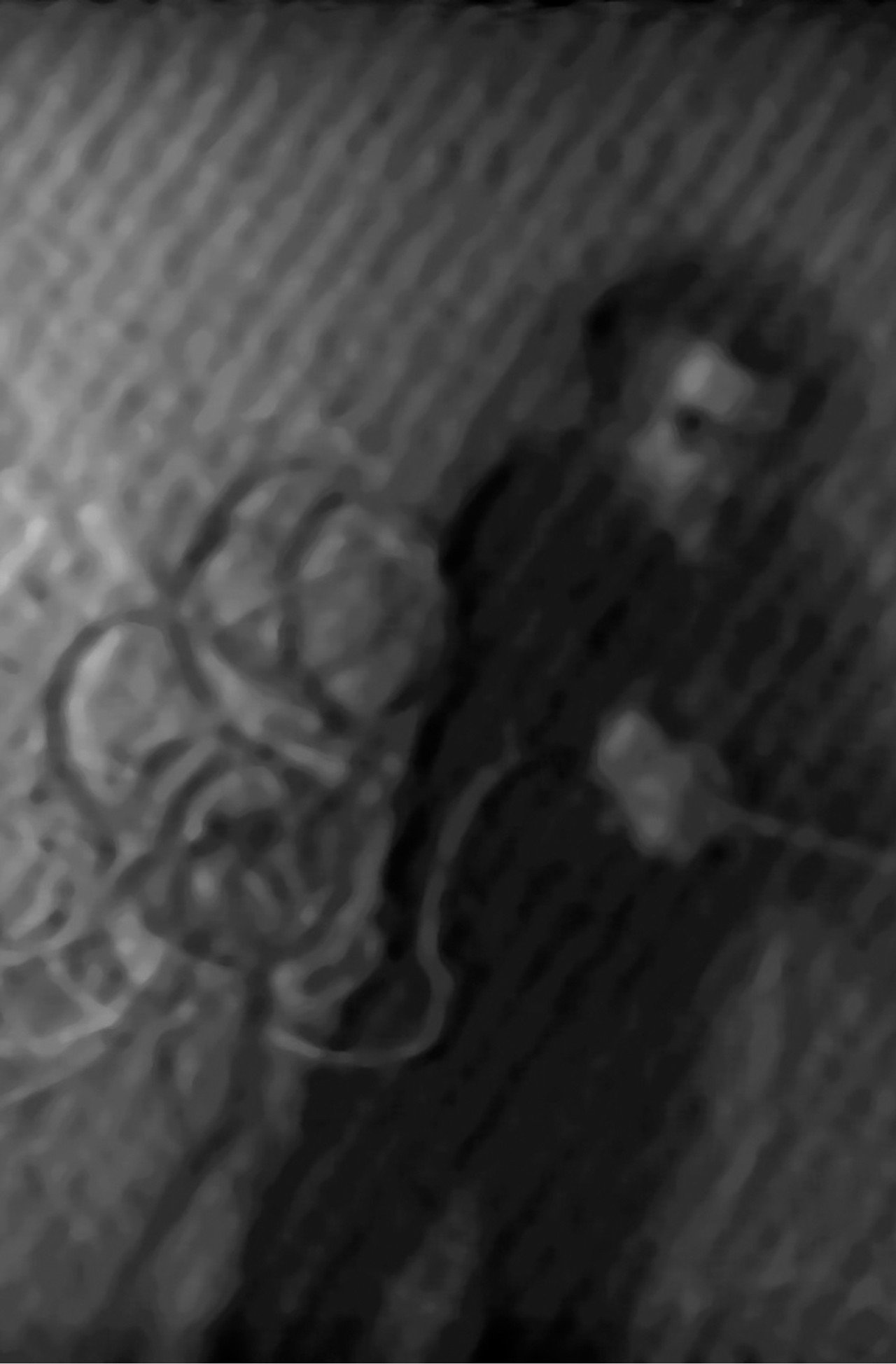 Dynamic Field Series filmaffisch