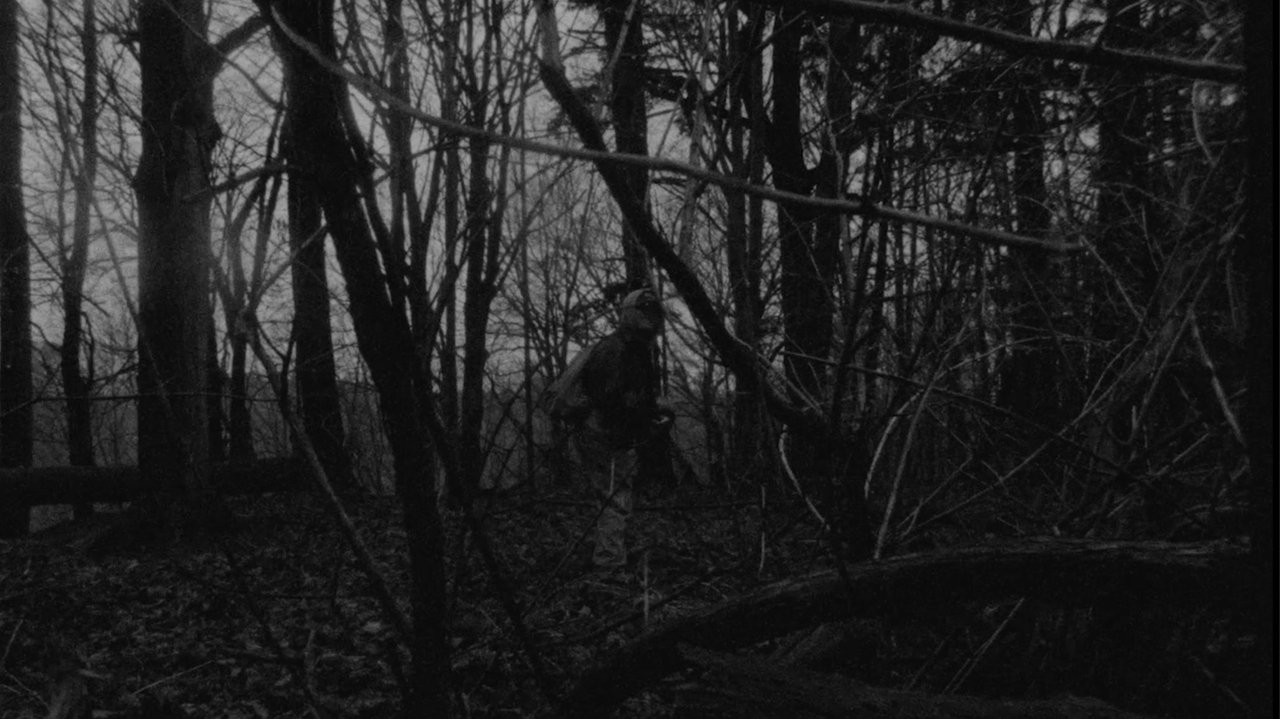 CASE FILE: HALIFAX MISSINGS