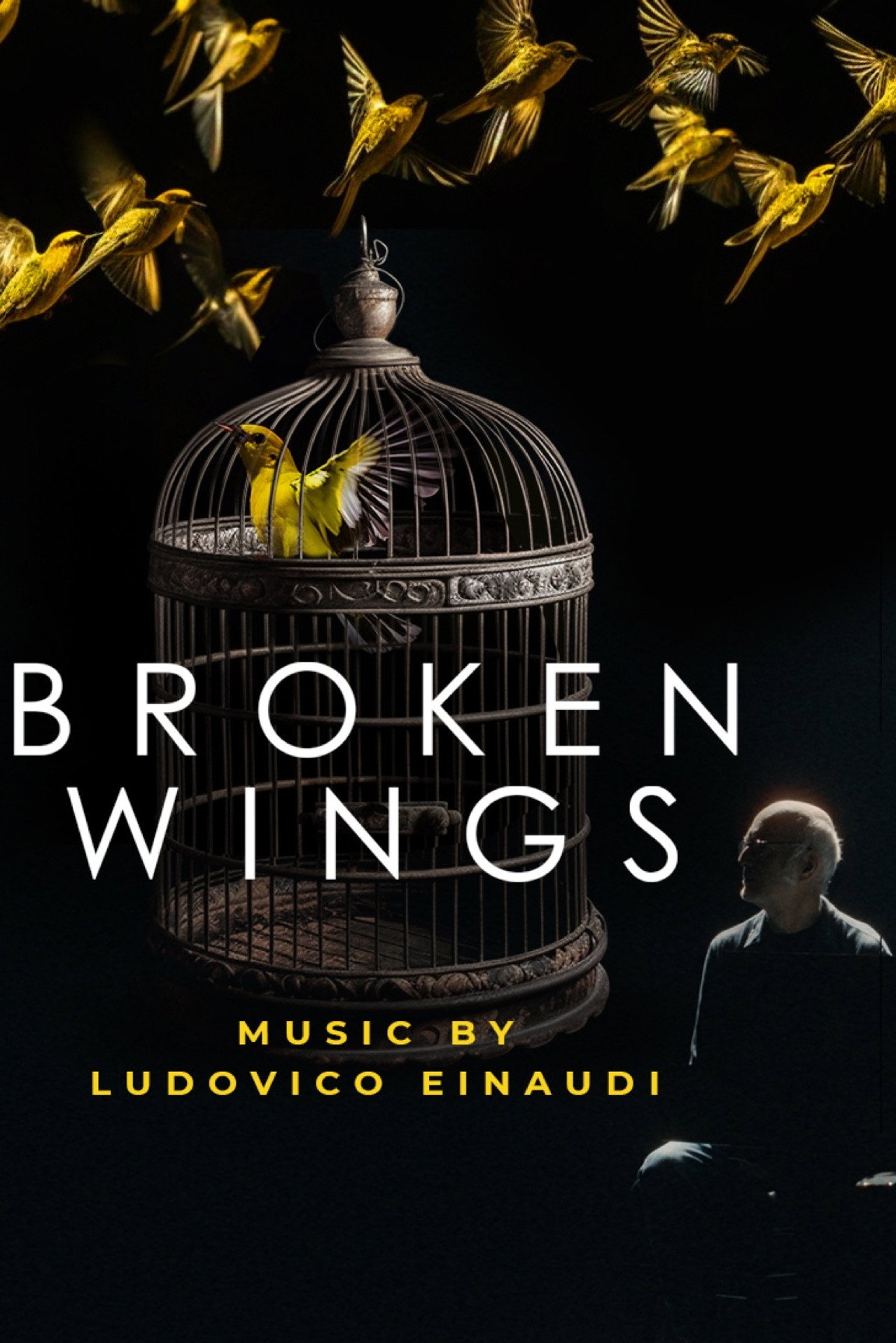 Broken Wings filmaffisch