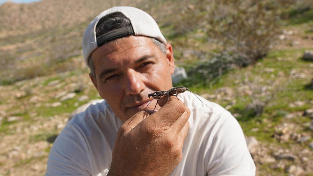 Wild Frank — Épisode 1