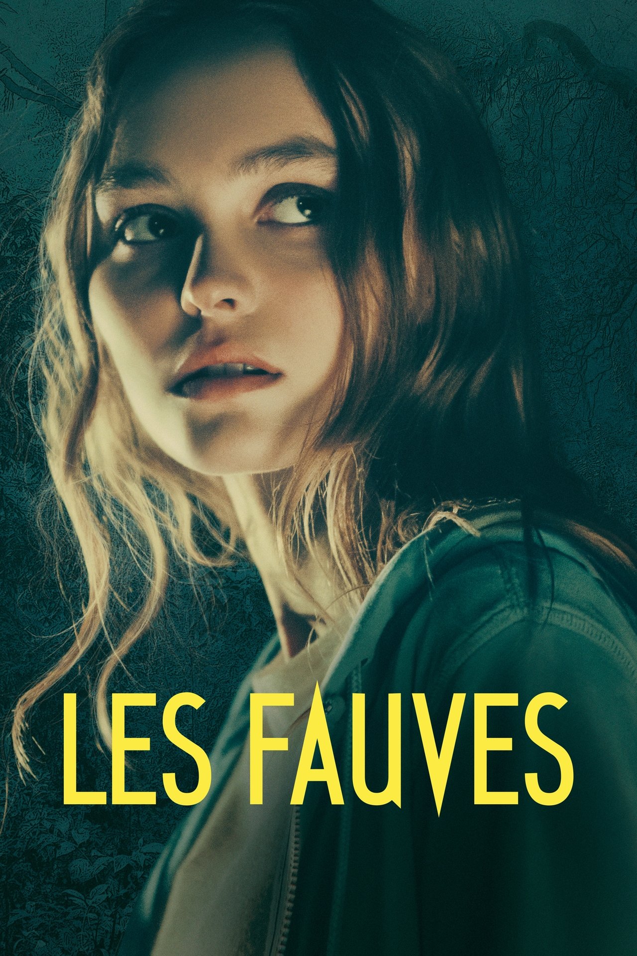Les Fauves poster