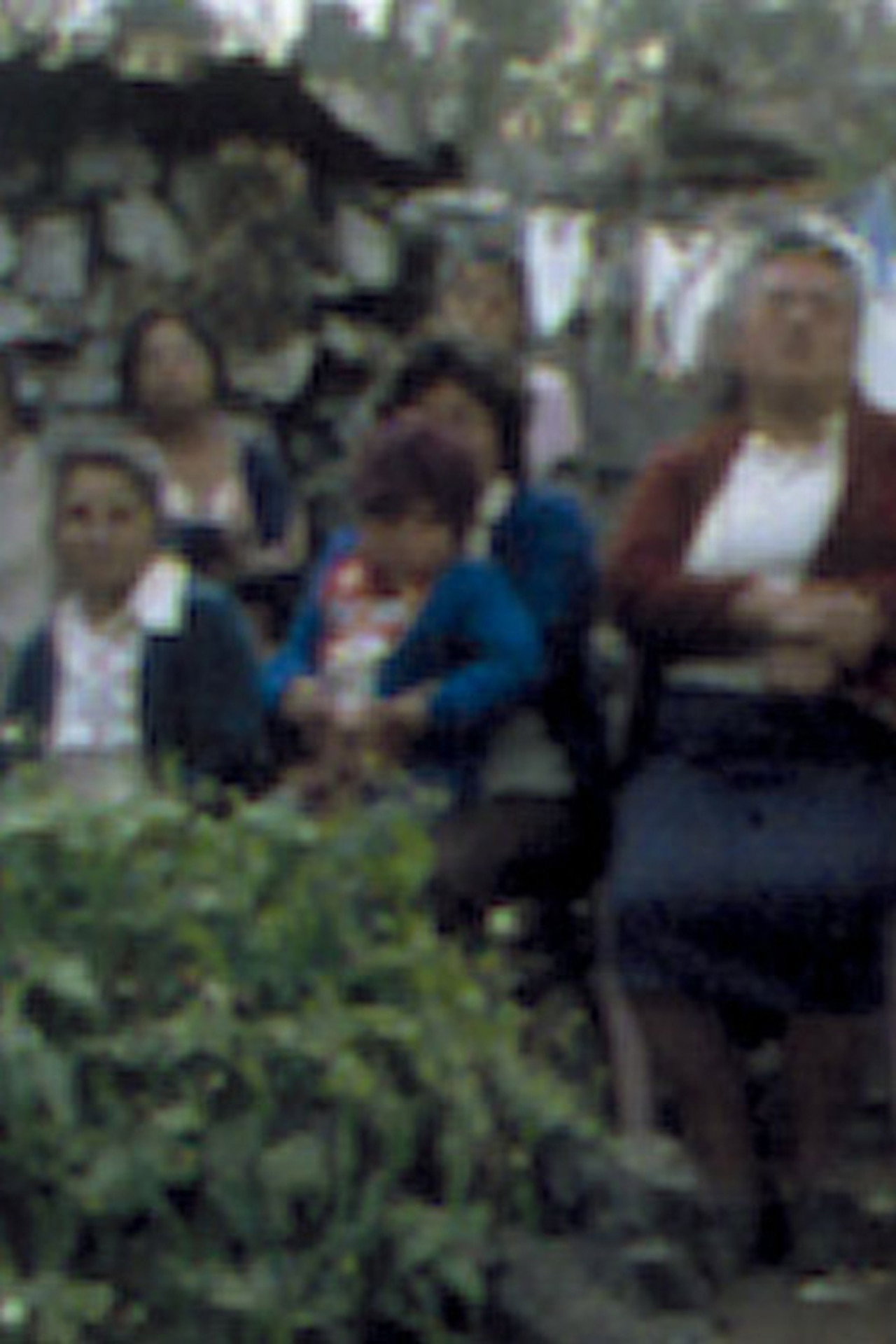 Elvira Luz Cruz, Maximum Sentence