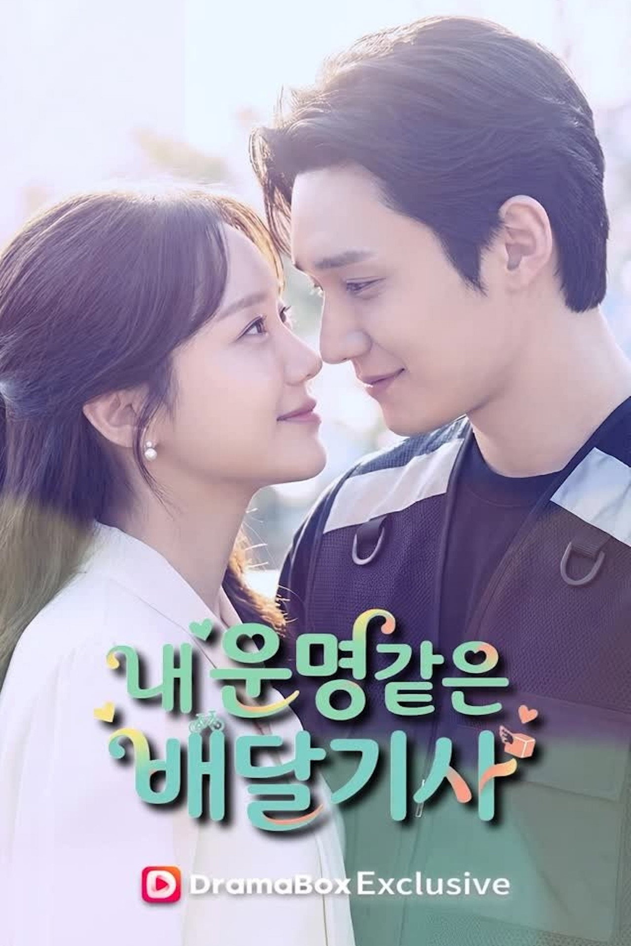 내 운명같은 배달기사 affisch