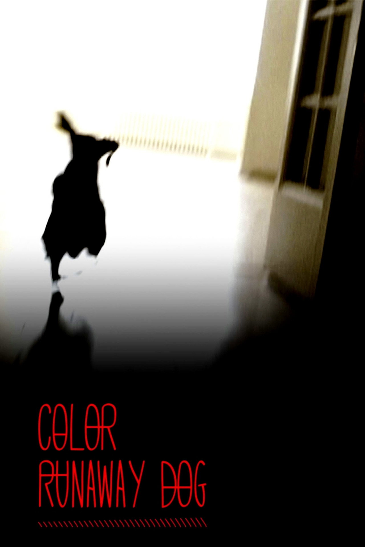 Color perro que huye filmaffisch