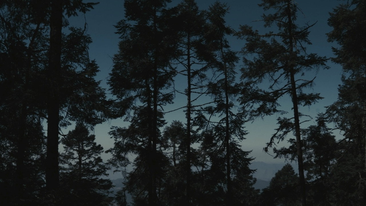 Fondo