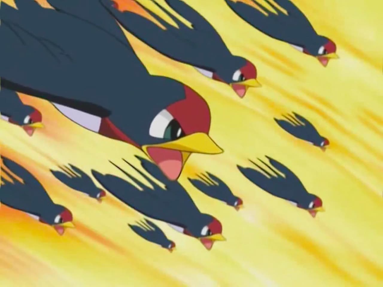 Pokémon - Season 6 Episode 4 : You Never Can Taillow!