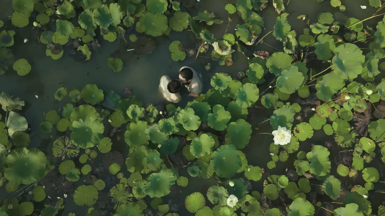 หวานใจผู้ใหญ่จอม (2025) trailer