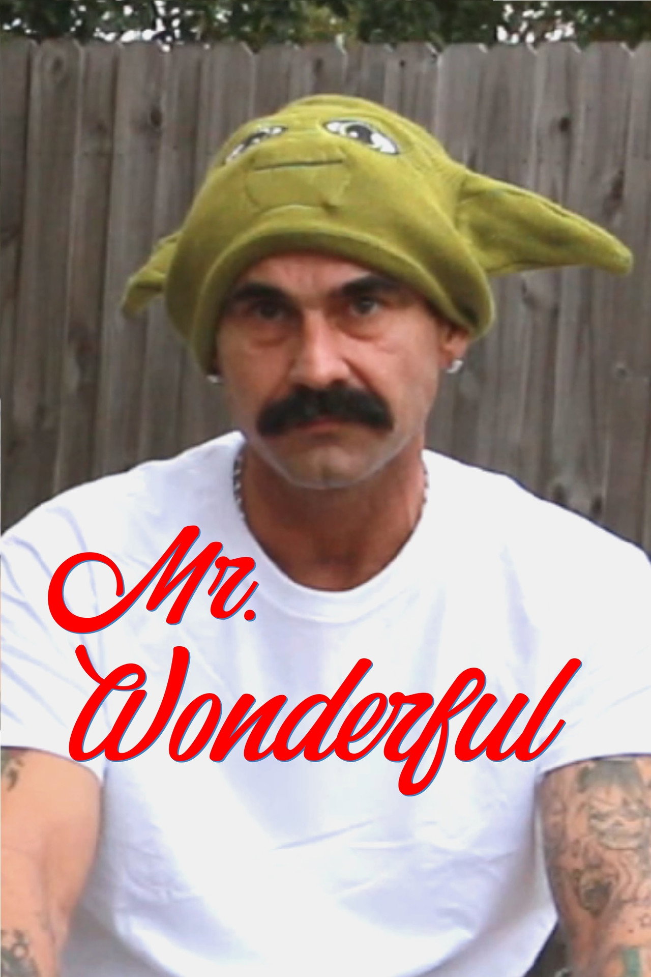 Mr. Wonderful filmaffisch