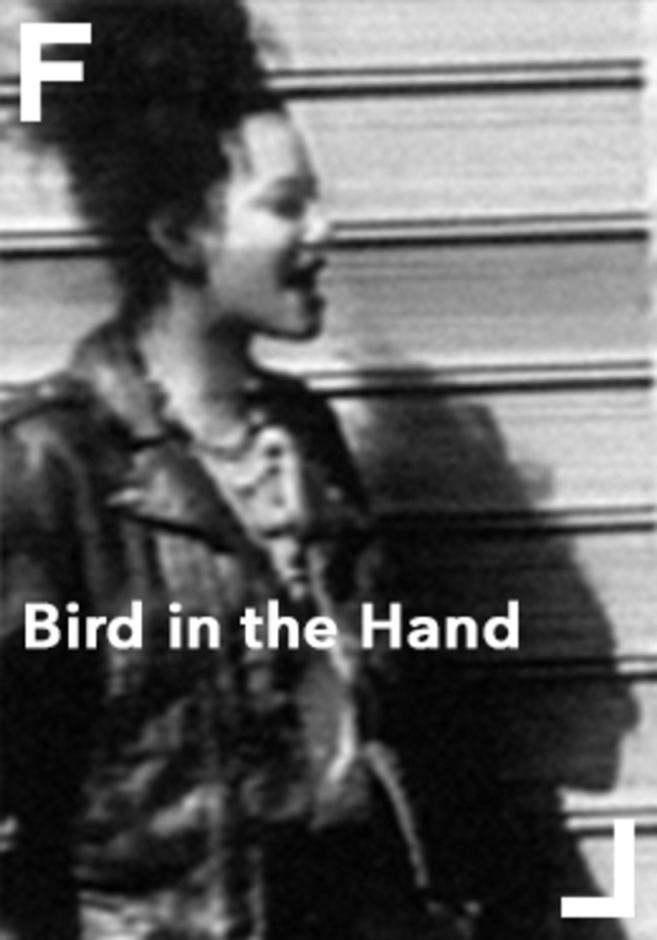 Bird in the Hand filmaffisch