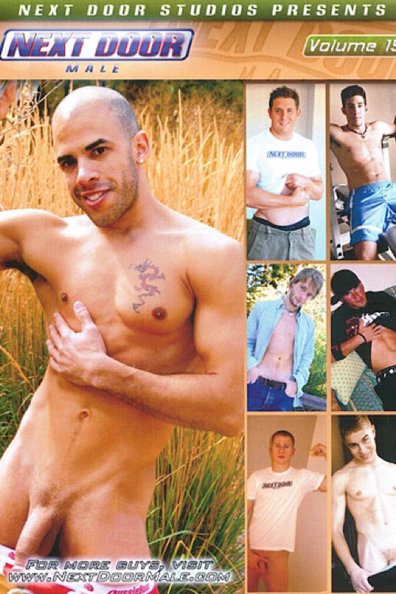 Next Door Male Volume 15 filmaffisch