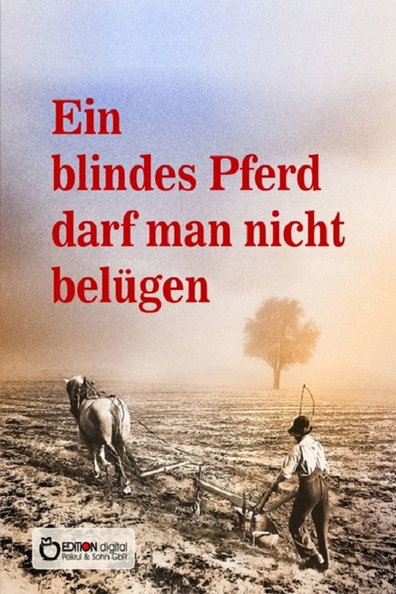 Ein blindes Pferd darf man nicht belügen filmaffisch