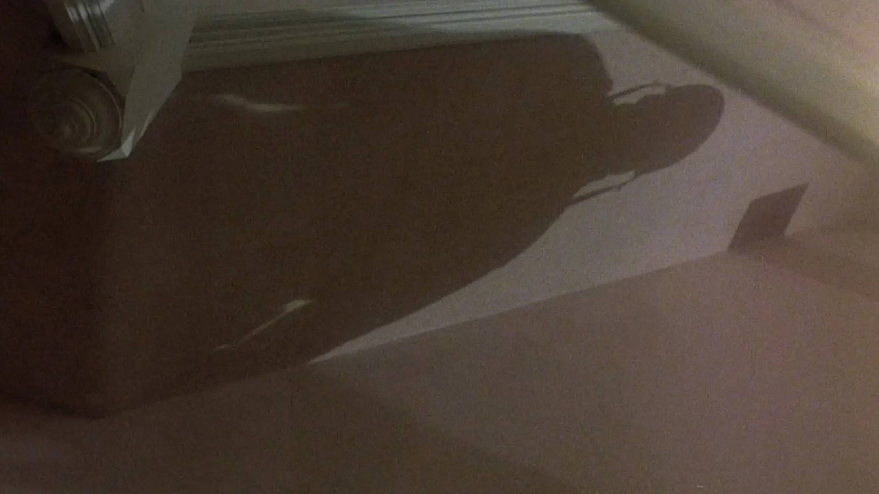 Filmgalerie — 22