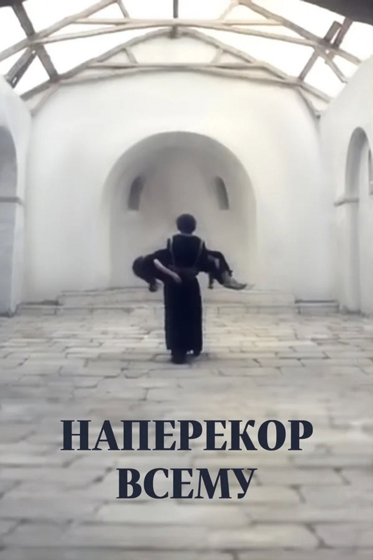 Fekete tollú fehér madár – plakát 5