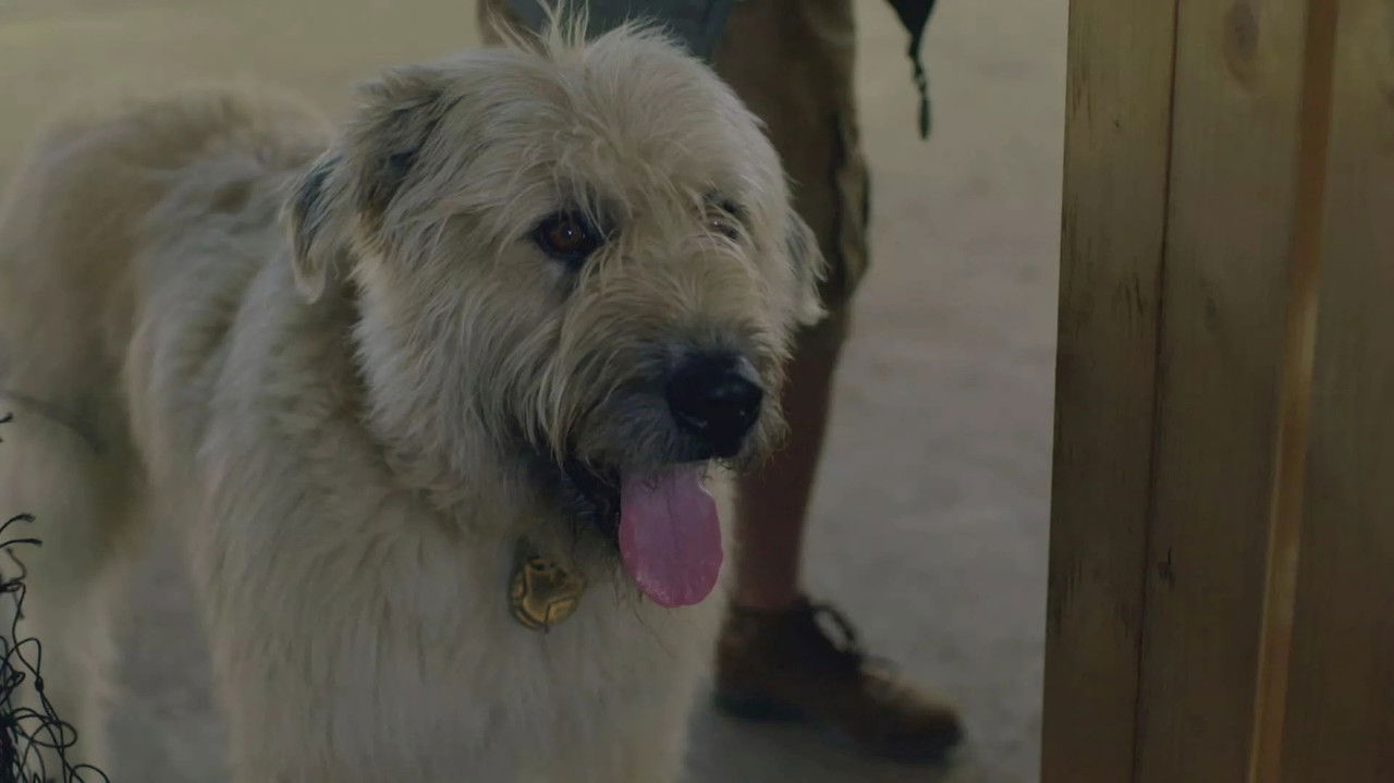 Kosmoo — Épisode 5