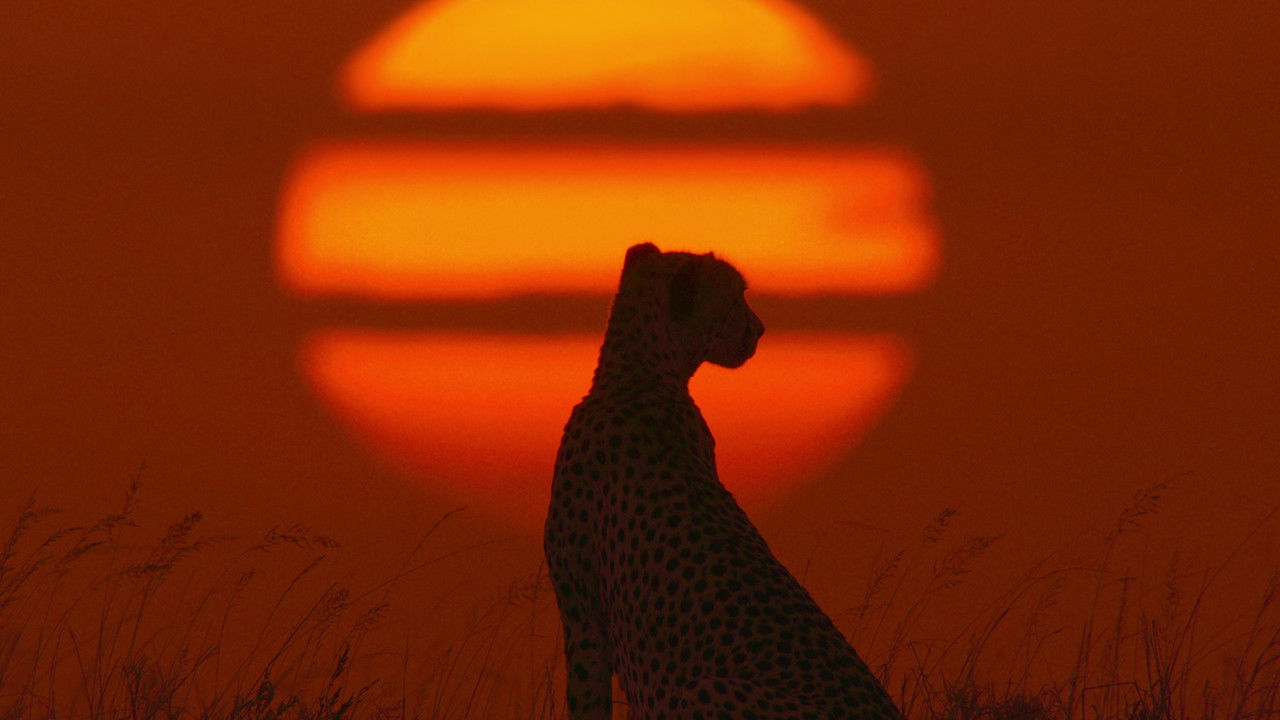 Our Universe (2022) Hindi Season 1 Complete Netflix backdrop