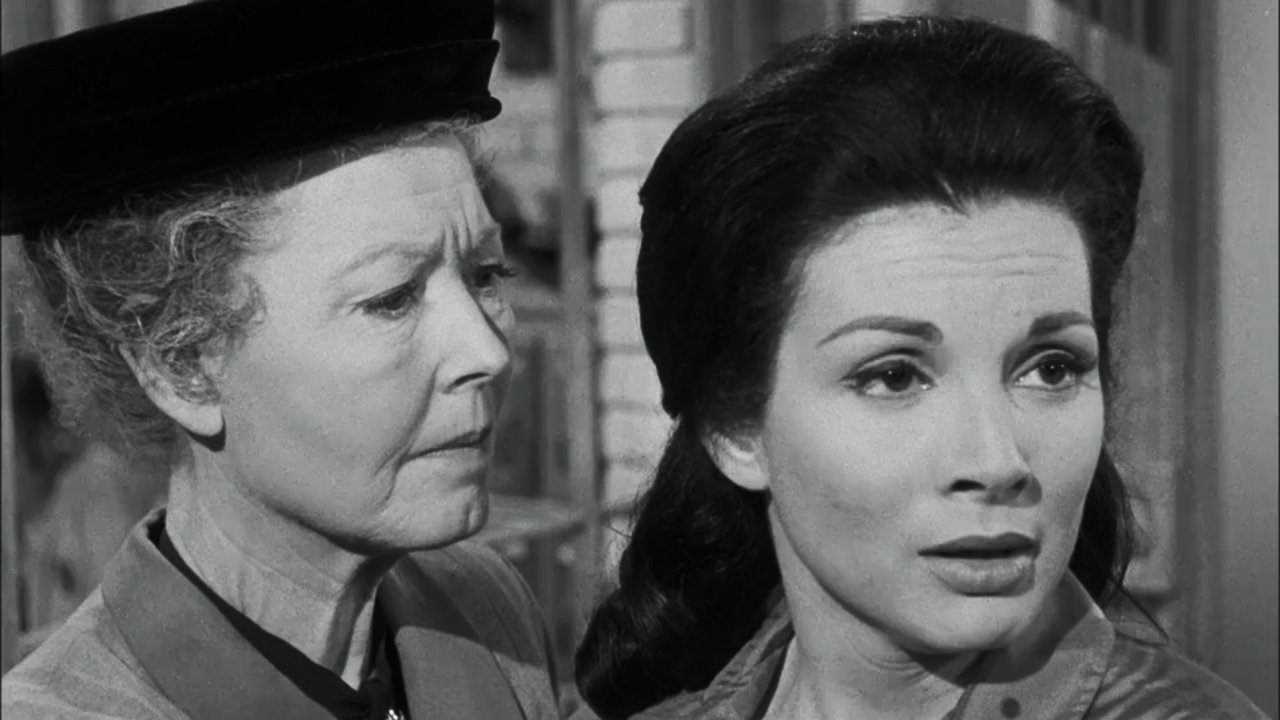 Perry Mason - Season 4 Episode 20 : The Case of the Barefaced Witness