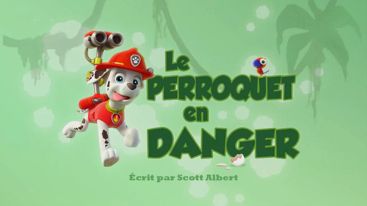 Le Perroquet en danger