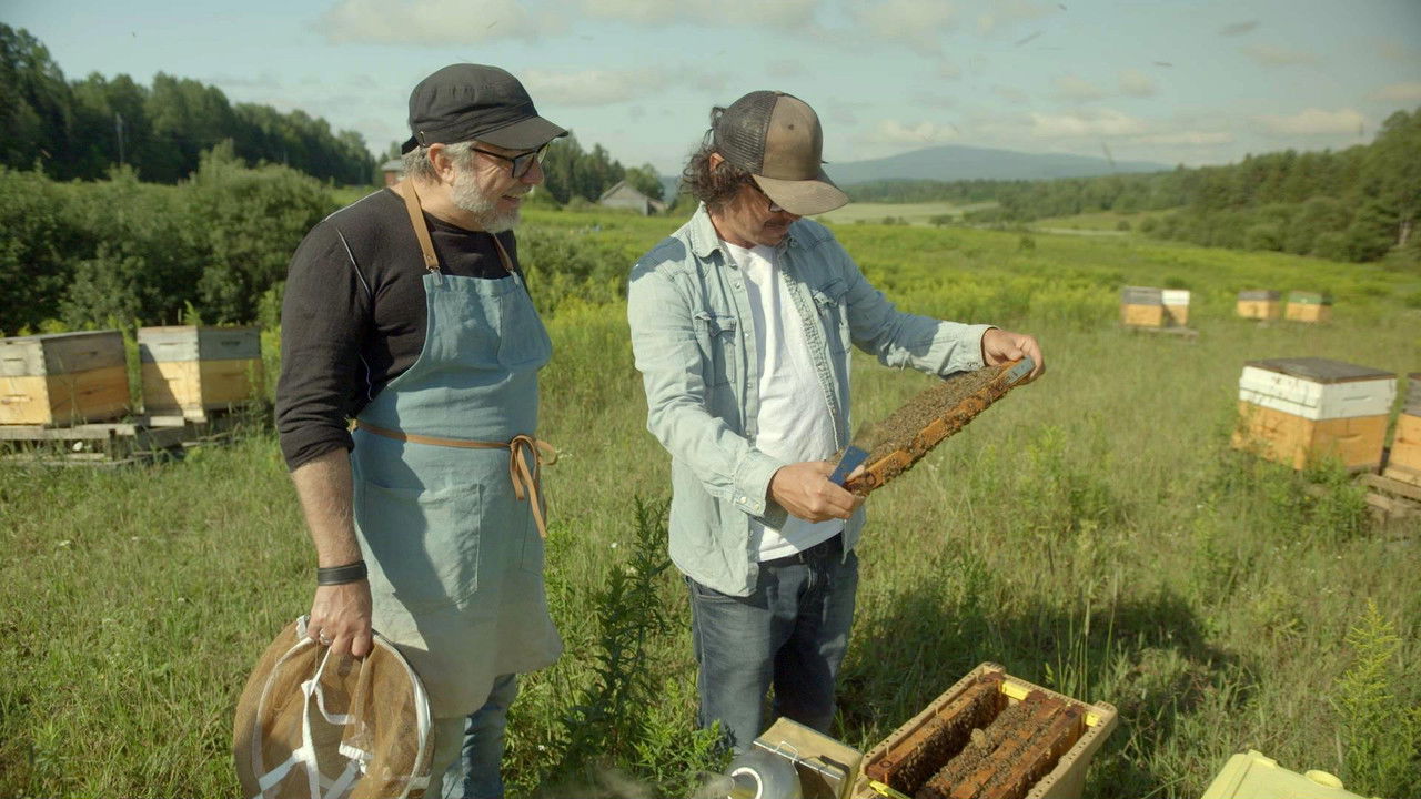 Curieux Bégin — Épisode 6