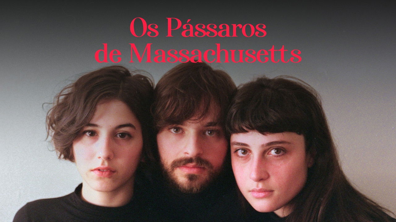 Os Pássaros de Massachusetts backdrop