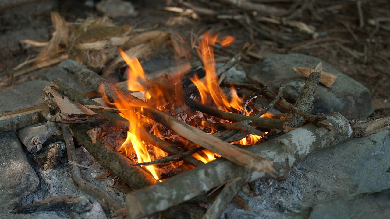 Robinson - Season 25 Episode 38 : Episode 38