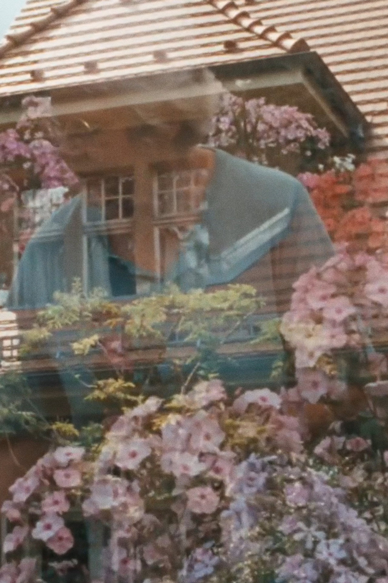 Für Frau Foerster filmaffisch