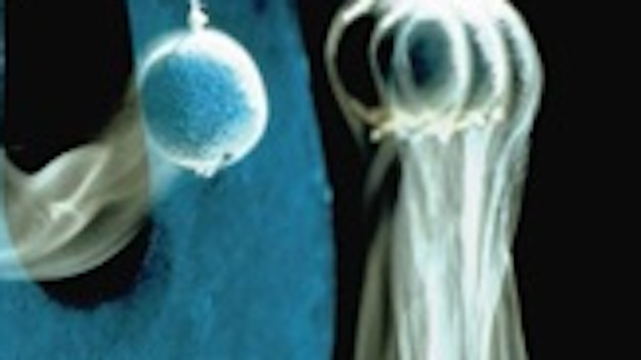 Viaggio nella scienza — Épisode 18