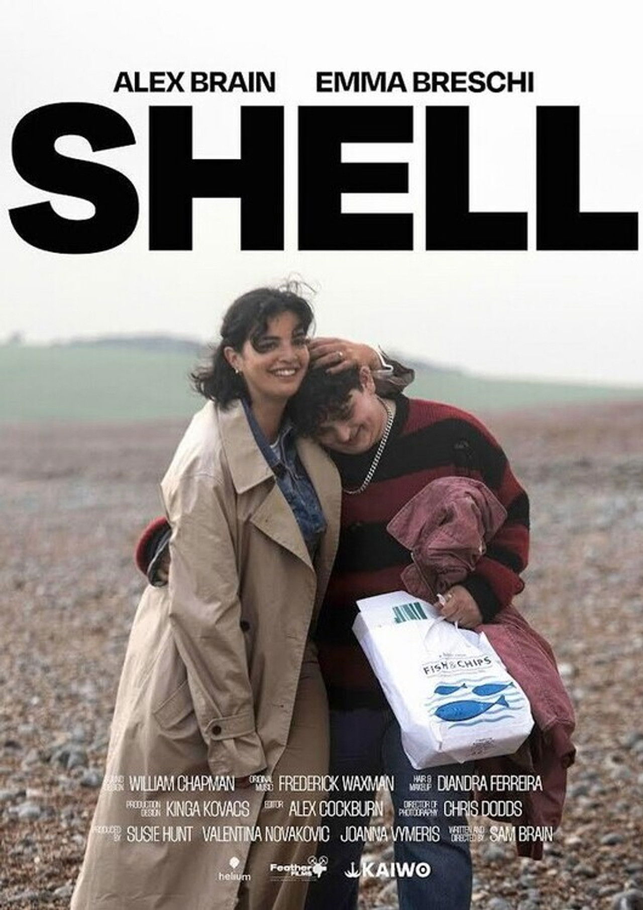 Shell Backdrop