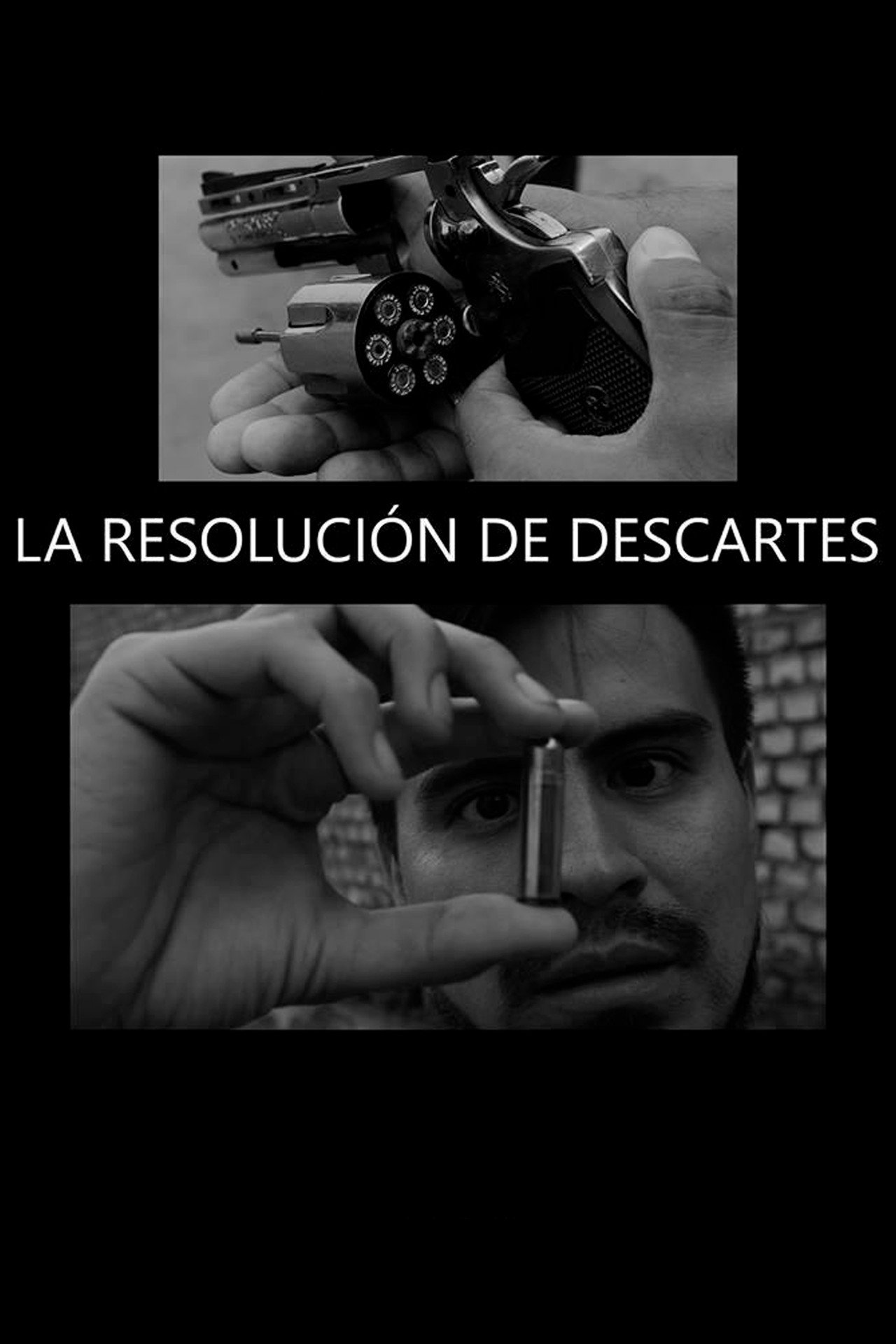 La Resolución de Descartes