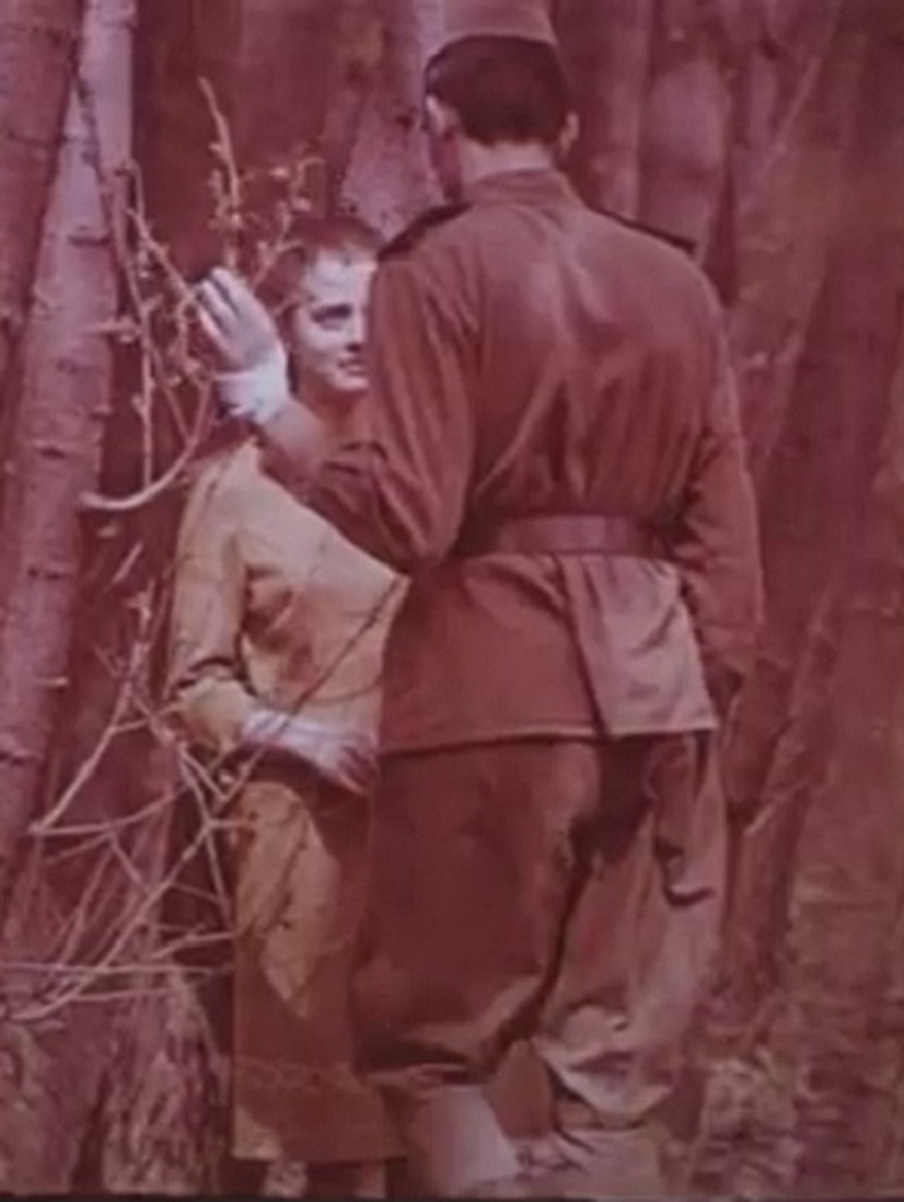 Вербное воскресенье filmaffisch