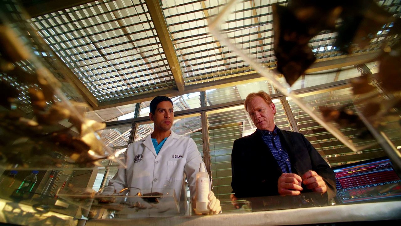 CSI: Miami - Season 10 Episode 5 : Killer Regrets