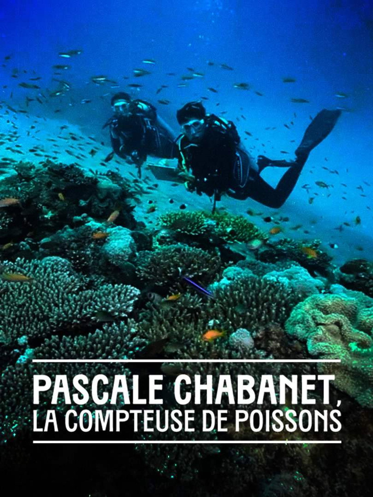 Pascale Chabanet, la compteuse de poissons filmaffisch