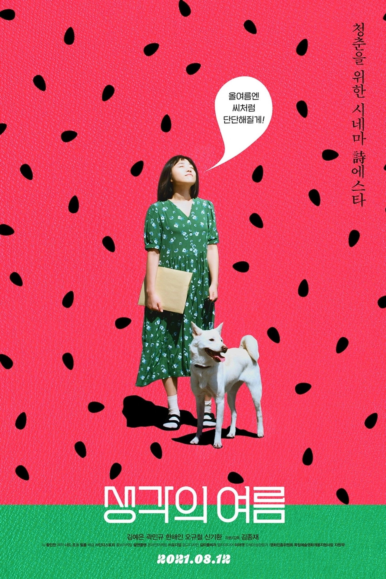 생각의 여름 filmaffisch