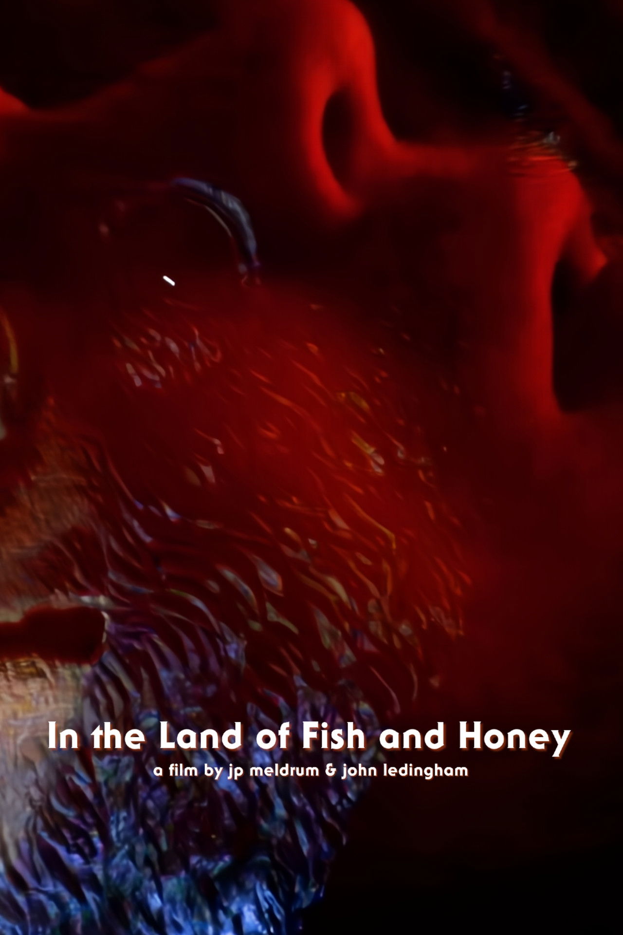 In The Land of Fish and Honey poster