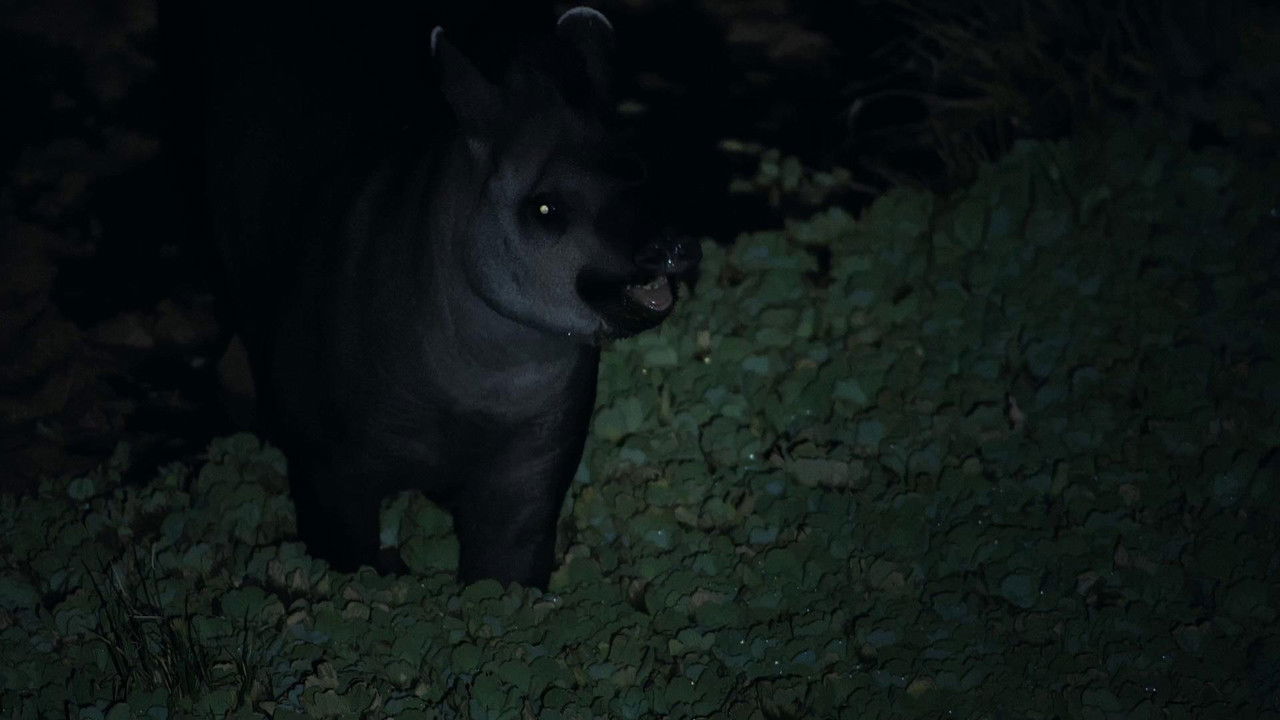 Animales en peligro — Épisode 5