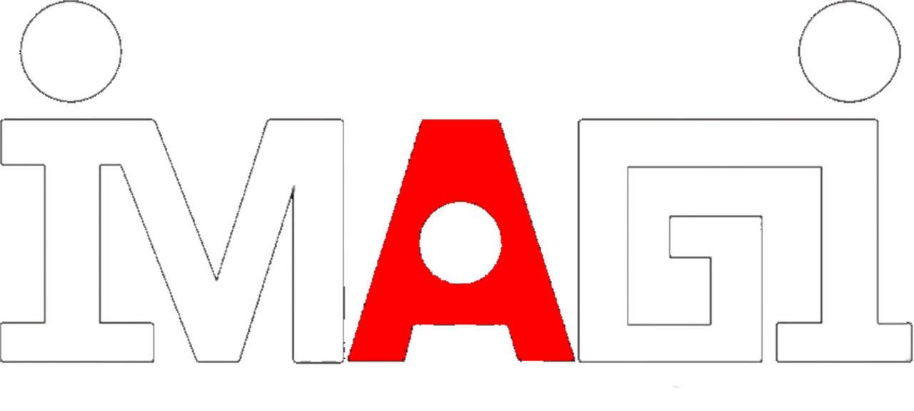 Imagi Animation Studios