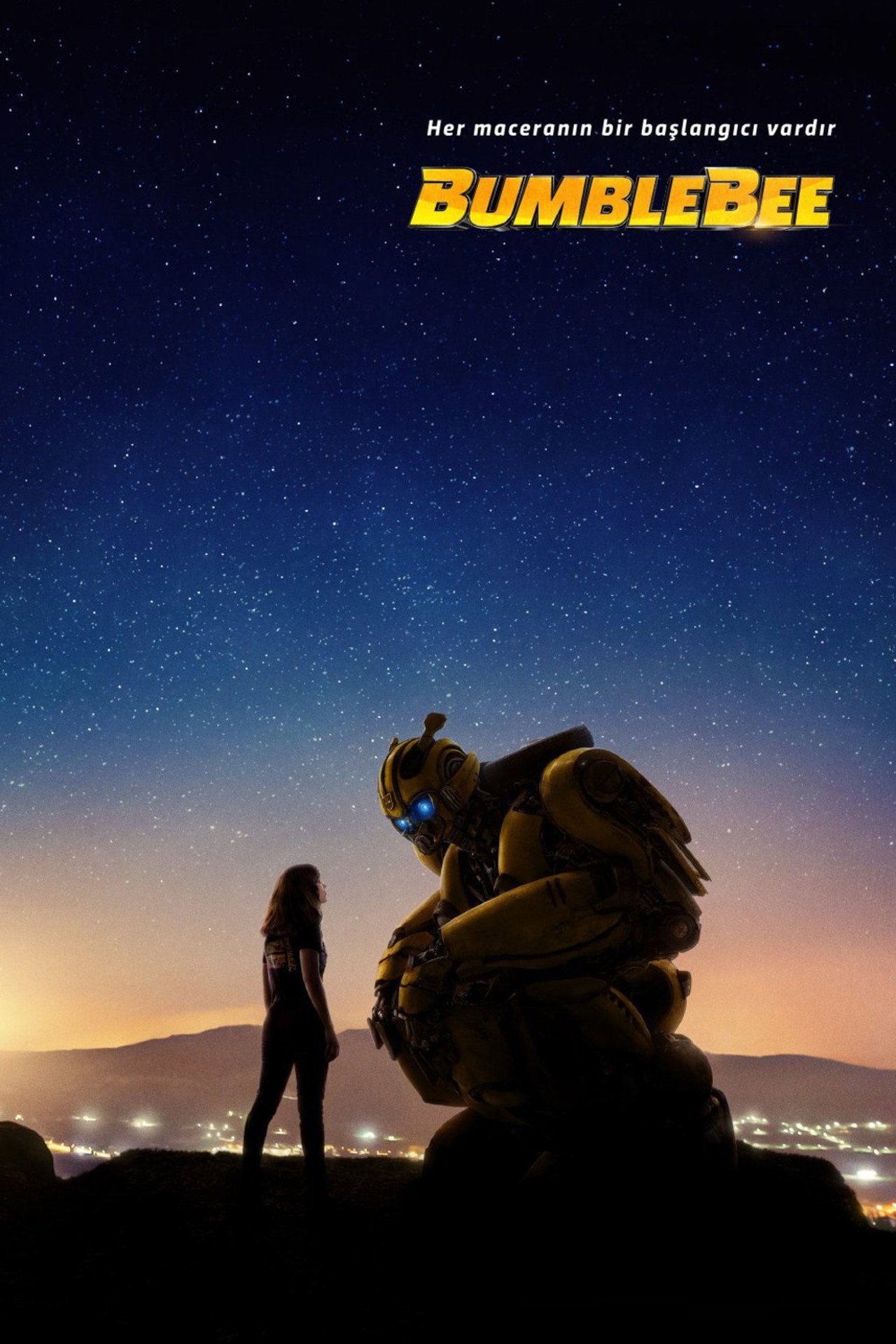 Bumblebee Poster